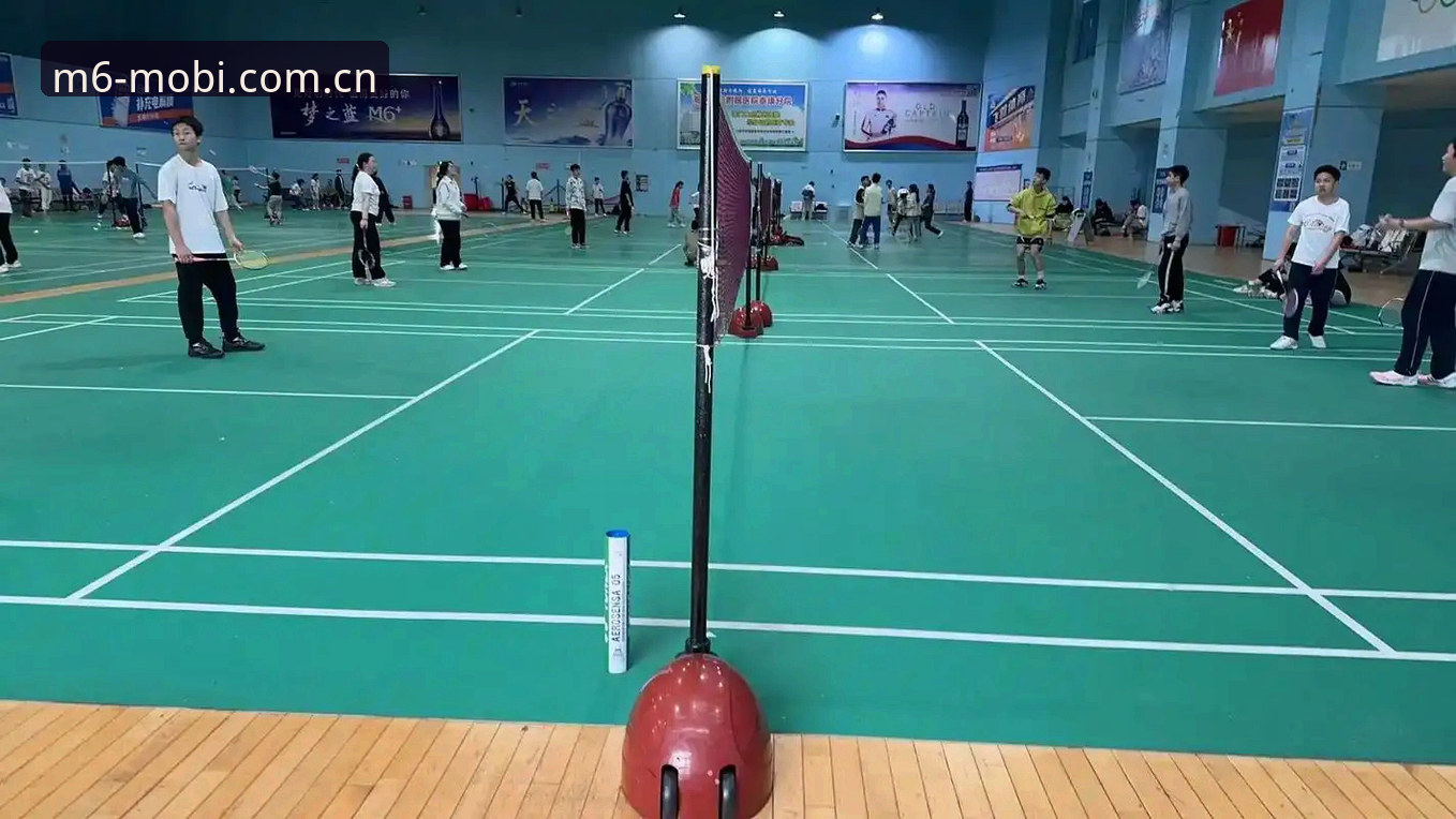 M6登录 M6体育平台最新动态:登录流程全面升级,新版App体验实测报告